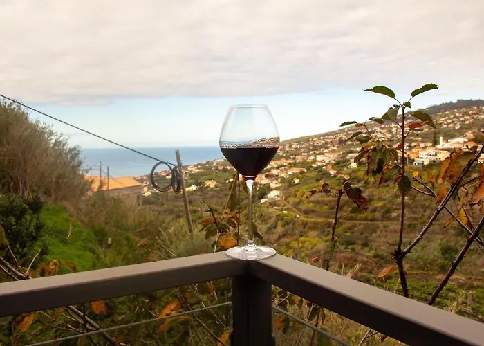 Amoreira House 게스트하우스