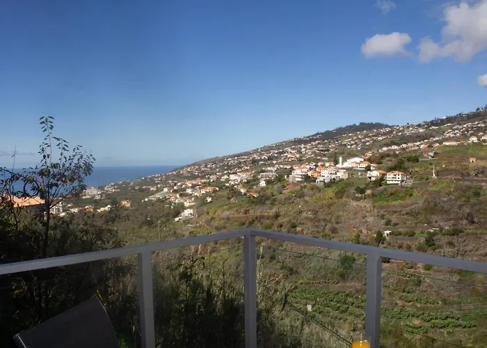 Amoreira House 게스트하우스